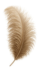 Wall Mural - ostrich feather with long, soft plumes