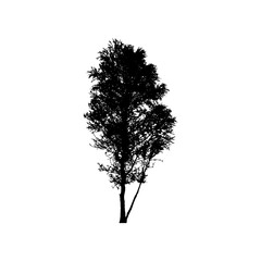 Green Tree Isolated on White Background. Vector Illustration