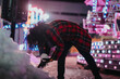 © qunica.com - A person in a vibrant red plaid coat crouches to make a snowball amidst a beautifully lit festive setting, creating a warm and joyful winter atmosphere.