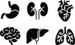© MUZIHID CREATION - Set of human organ icons including stomach kidneys heart brain liver and lungs