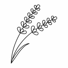 Lavender Branch Outline Vector