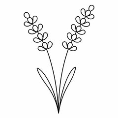 Lavender Branch Outline Vector