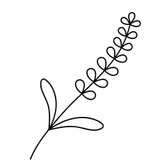 Lavender Branch Outline Vector