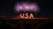 © Lensory - Celebrate independence with dazzling USA fireworks illuminating a starry night sky above a vibrant forest canopy