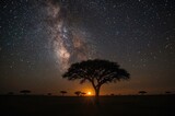 Silhouetted tree beneath a starry Milky Way during sunrise