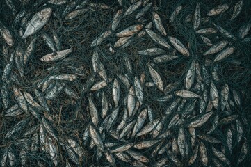 Abstract backdrop featuring the pattern of layered fishing nets