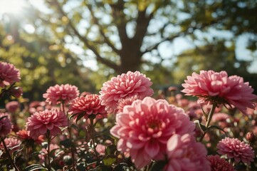 Wall Mural - Detailed view of vivid blossoms highlighting natural elegance in bright colors and complex petal structures