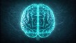 © SR Stock - Glowing neon blue human brain anatomy top view digital art concept for science and technology