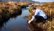 © jepry - Scientist Collecting Water Samples Near Protected Wetlands