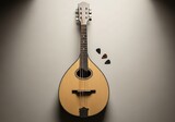 A Mandolin's Serenade: Harmonious arrangement showcasing a mandolin with its musical potential and artistic nuances