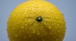 © aditya - Photo of Lemon from Above with Water Droplets Visible.