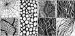 © Artem - Dark fantasy textures set featuring hand drawn spider web and abstract patterns for creative design