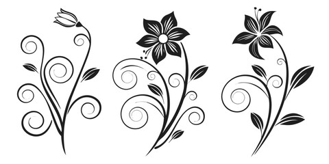 Elegant Black Floral Swirls and Flowers Design
