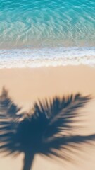 Wall Mural - A shadow of a palm tree on a sandy beach, perfect for travel or tropical-themed images