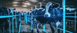 Smart farming concept, digital technology and data driven agriculture to enhance cow health and productivity in modern dairy farm