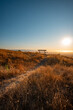 A Bench on a Dry Grass Hill Overlooking the Hazy San Francisco Bay at Sunset