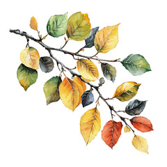 Autumn Tree Branch, watercolor vector, isolated on a white background.