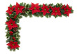 © PNG BOSS 22 - Red poinsettia holly pinecone garland christmas berries
