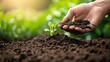 © อมรรัตน์ คําโสภา - Use of chemical fertilizers based on soil analysis and tailor-made fertilizers + agriculture + premium images