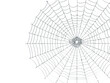 © Resource Boy - Eerie spiderweb design element perfect for Halloween marketing, spooky season promotions, or mysterious themed projects with transparent background