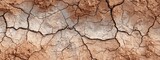 Dry earth farm land texture with cracked patterns natural background