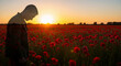 © Milan - Soldier silhouette in a poppy field at sunset. Man honoring fallen soldiers in a field of red flowers. Remembrance Day, Poppy Day, Veterans Day, Memorial Day