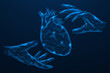 © Ilya - Digital donation of human heart. Two hands protect the organ. The concept of care, technology, and the fragility of medical procedures such as heart transplantation or organ donation.