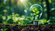 © Mike Stock - Lightbulb with small plant on soil under sunshine symbolizing green energy and sustainability