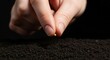 © Svitlana Vorotniak - Woman hand dropping a small seed onto rich soil. Concept of planting, growth, and the biblical parable of the mustard seed.
