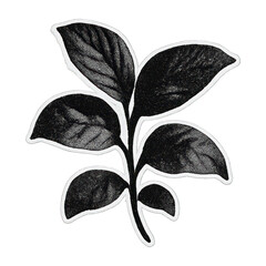 Wall Mural - png elegant black leaf silhouette