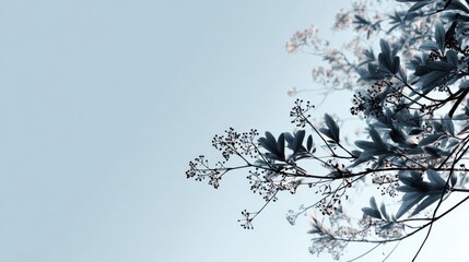 Branches with Leaves Against the Sky