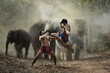© RooM The Agency - Two Muay Thai boxers fighting in front of elephants in the mist at dusk, Thailand