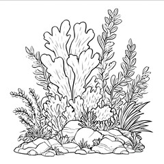 Lineart drawing of a coral reef scene for a childrens coloring book featuring large simple corals seaweed and underwater plants with wide spaces for coloring .