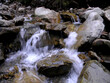 © Dmytro - stream in the forest
