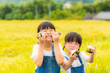 © kai - 田んぼの前でおにぎりを持つ姉妹