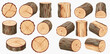 © studio - A collection of illustrated wooden logs, tree stumps, and round slices from different angles, showing bark and annual rings.