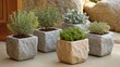 © Alokya - Decorative stone planters with herbs and succulents.