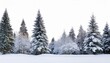 © Mikael - snow covered fir tree cutouts isolated on transparent backdrop ideal for seasonal winter design and holiday graphics