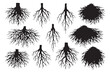© MdLutfur - Various tree root systems isolated on white background