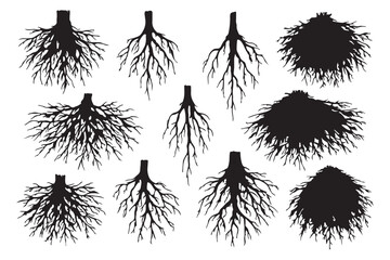Various tree root systems isolated on white background
