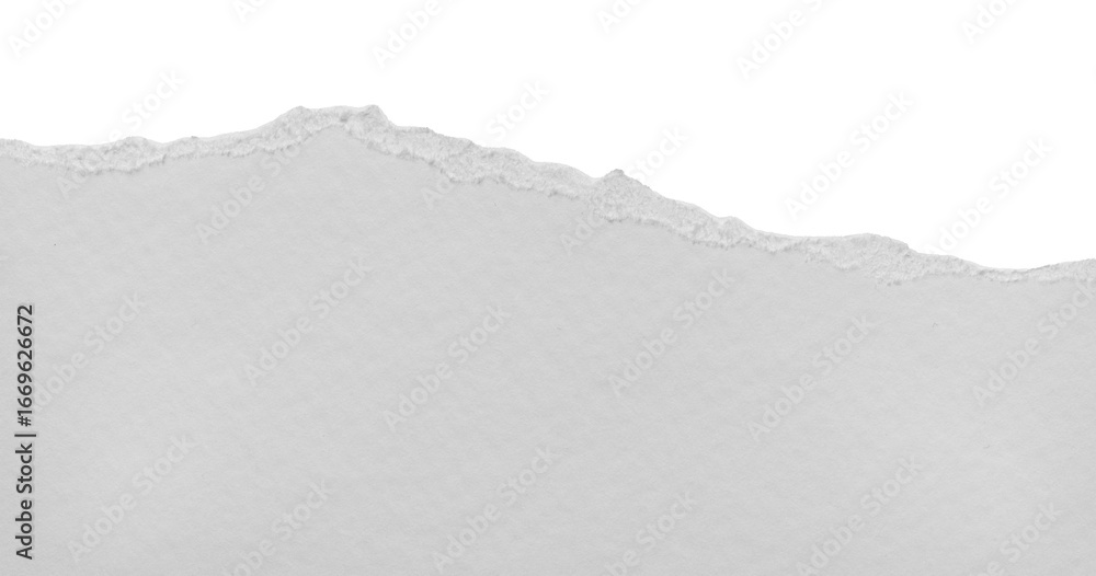 torn blank pages with uneven texture edges. set of ripped white paper ...