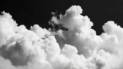 Wall Mural - a plane soaring through the clouds