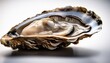 © Jaida - coastal delicacy a single oyster showcases its intricate shell patterns hinting at the treasure within a culinary gem waiting to be discovered
