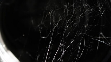 Shimmering spiderweb threads in complete darkness.