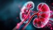 © Elena - 3D rendering of human kidneys with detailed blood vessels. The image highlights the organ's structure and function in the human body.