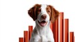 © Dulemegapixel - This image captures a cheerful dog posed against a vivid sound wave backdrop, illustrating a blend of joy, energy, and visual creativity in a modern aesthetic.