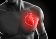 © Ramdhaniyah - Highlighted heart anatomical illustration