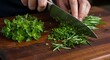 © Jes - Hands chopping fresh rosemary and oregano herbs on a rustic wooden cutting board, close-up