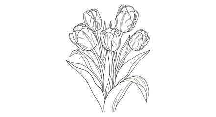  Beautiful Spring Tulip Flowers Bouquet Line Art Illustration on Isolated White Background