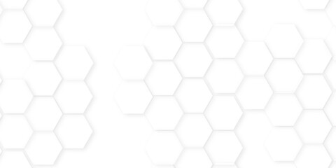 Wall Mural - Abstract background with hexagon, modern abstract vector polygonal pattern. Futuristic honeycomb mosaic white background,white and gray hexagon honeycomb geometric copy space.